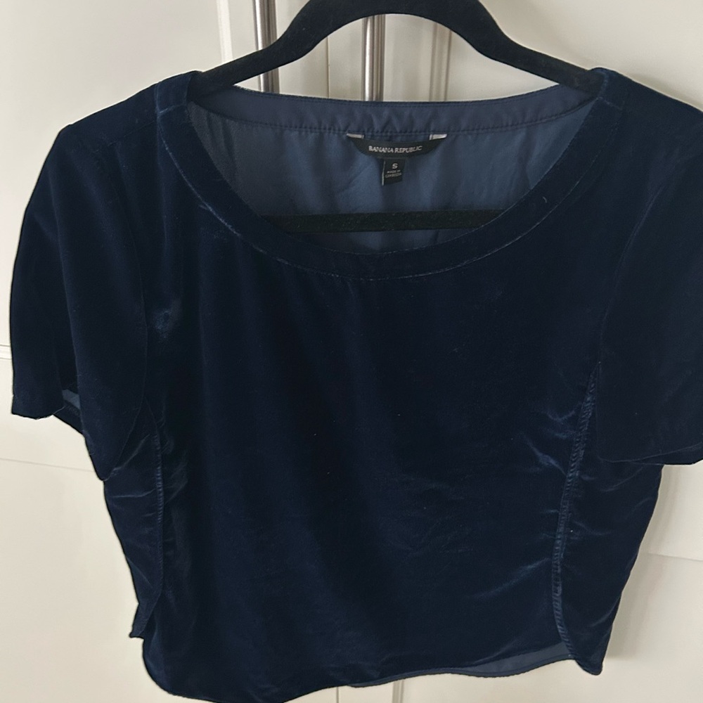 Banana Republic Deep Blue Velvet Tee